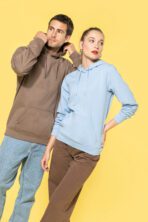 Sweat-shirt capuche homme - K476 – Image 37