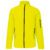 Fluorescent Yellow