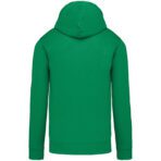 Sweat-shirt capuche contrastée homme - K446 – Image 28