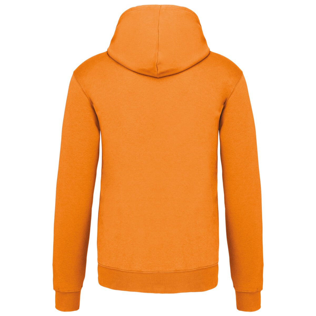 Sweat-shirt capuche contrastée homme - K446 – Image 38