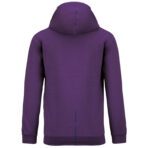 Sweat-shirt capuche contrastée homme - K446 – Image 44