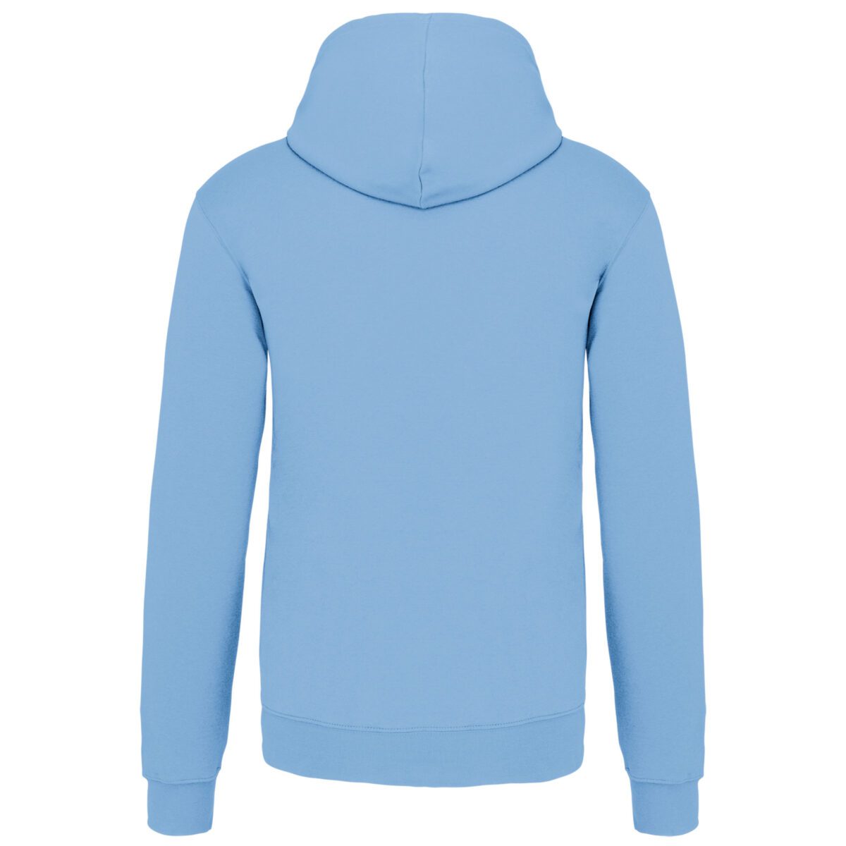 Sweat-shirt capuche contrastée homme - K446 – Image 48