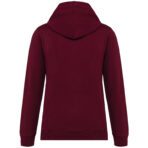 Sweat-shirt capuche contrastée homme - K446 – Image 54