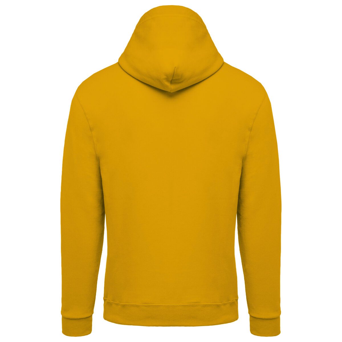 Sweat-shirt capuche homme - K476 – Image 62