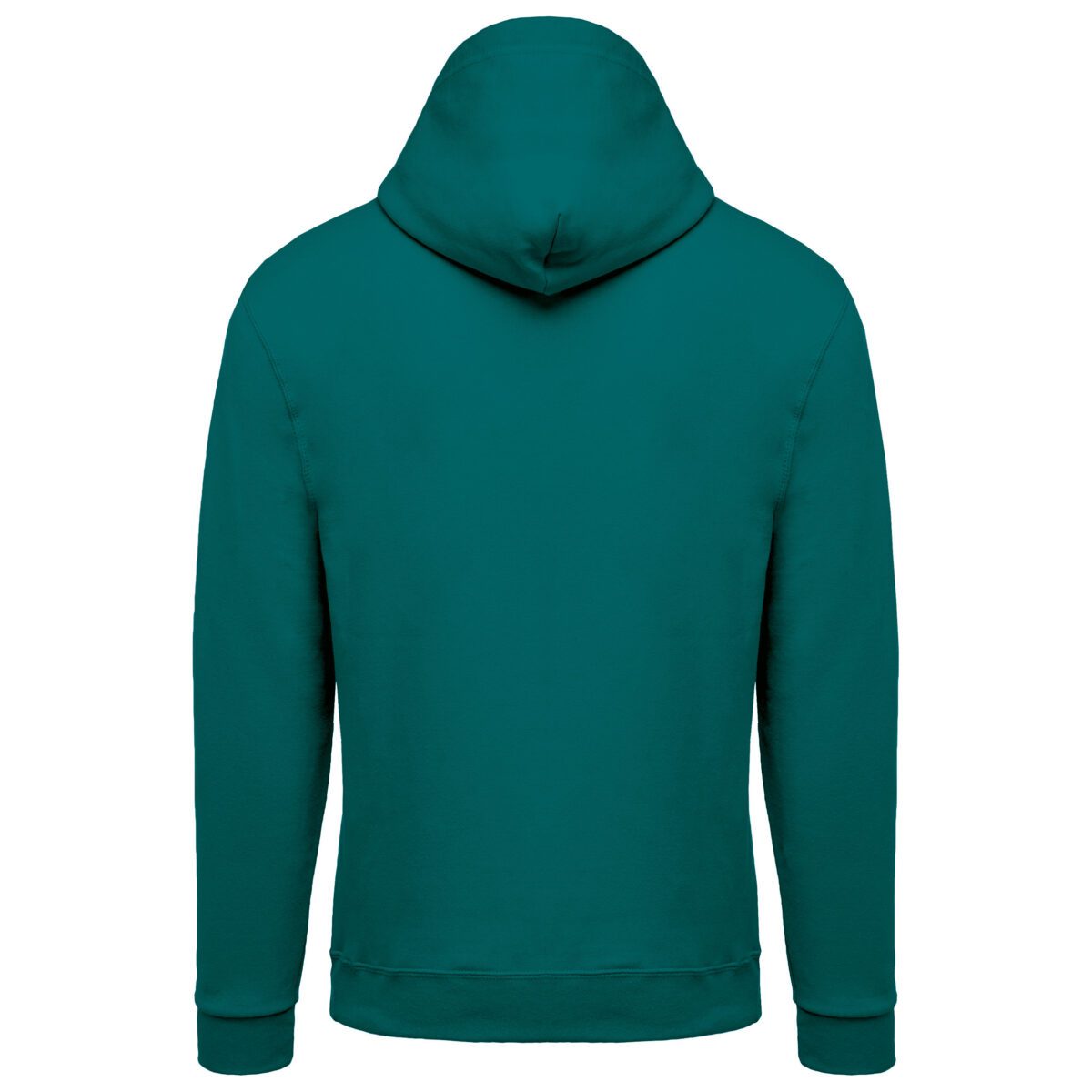 Sweat-shirt capuche homme - K476 – Image 68