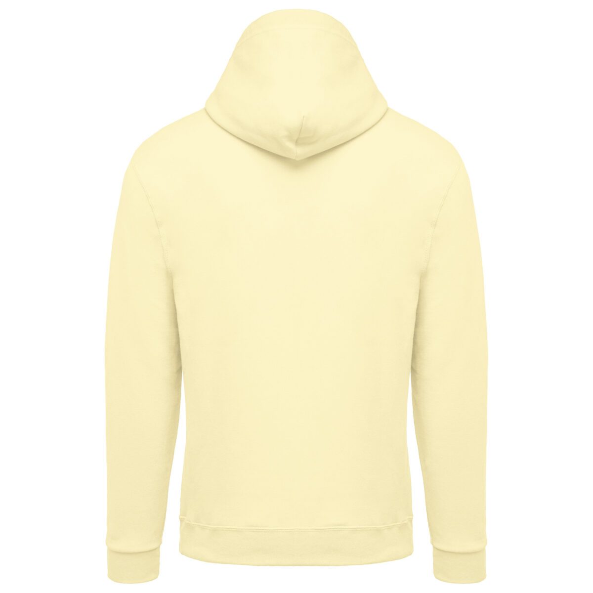Sweat-shirt capuche homme - K476 – Image 118
