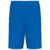 Light Royal Blue