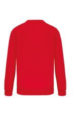 PA373 - Sweat-shirt personnalisé polyester – Image 20