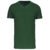 Vert foncé